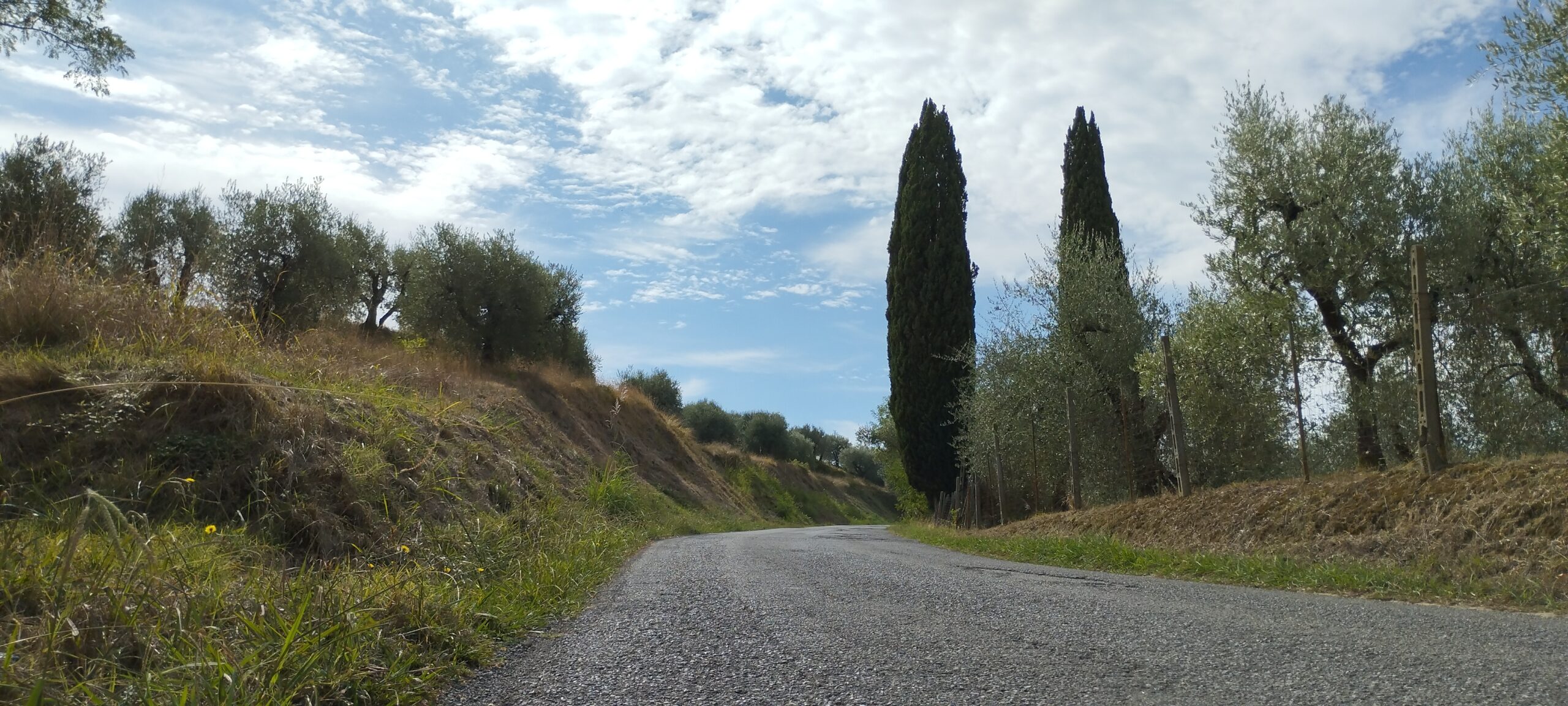 turismo in toscana balconevisi il regno del tartufo